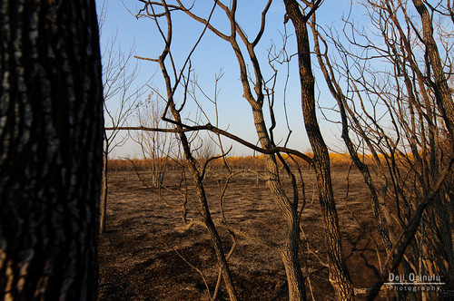 sunrise fire texas drought fires wildfire 9829 georgebushpark barkerreservoirwetlandsrestorationproject 2011texasdrought