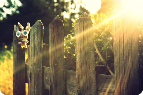 light sunset sunlight love sunshine fence toy switzerland shine hff