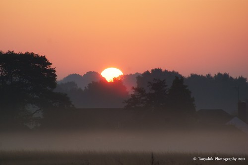 mist sunrise bedfordshire summerfield ampthill earlymorningmist