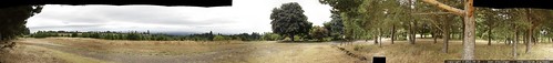 panoramic view of a 25 acre property for sale in newberg