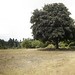 panoramic view of a 25 acre property for sale in newberg