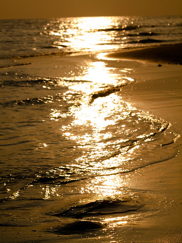 statepark sunset beach jellyfish florida olympus zuiko e30 grayton zuiko1454mm