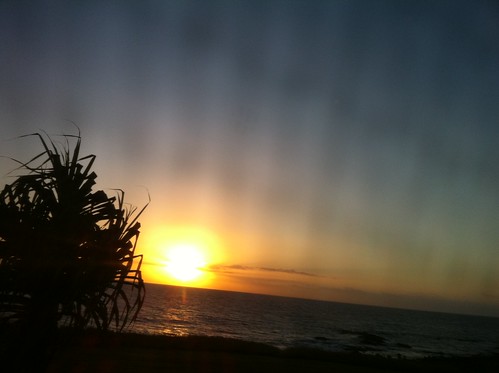 ocean sunrise palm bargara