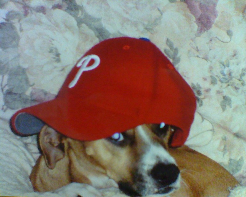 Stanley with Phillies cap on