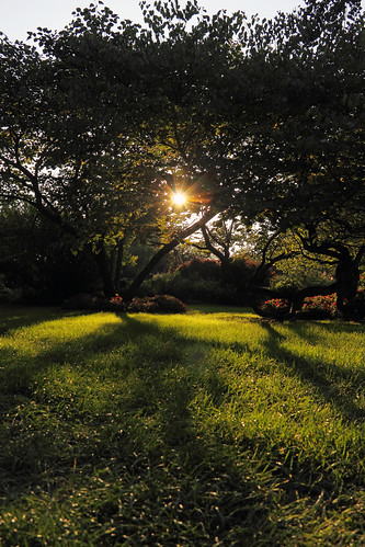 sun sunlight canon shadows indiana fortwayne fortwaynein fosterpark canoneos60d eos60d