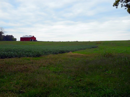 nature barn kentucky endless farmfield