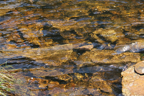 stream pennsylvania mudrun carboncounty hickoryrunstatepark