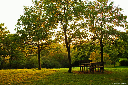 park autumn light sun tree green table landscape licht herbst meadow wiese bank grün seeshaupt tisch landschaft sonne baum dorenawm