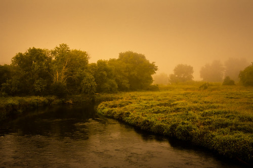 morning trees summer usa mist nature water fog wisconsin creek river landscape photography dawn photo midwest stream day image picture meadow august northamerica brook goldenhour evansville 2011 cooksville canoneos5d rockcounty stebbinsville badfishcreek sigma50mmf14exdghsm lorenzemlicka