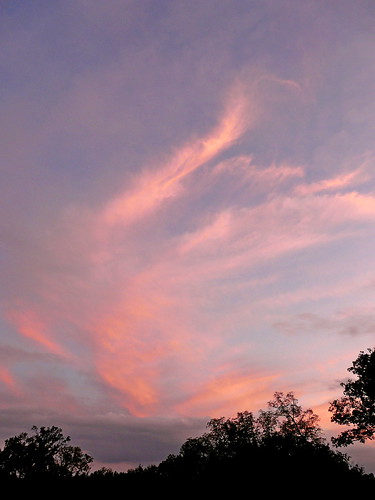 trees sunset sky silhouette clouds virginia montpelier jamesmadison endofday arlingtonhouse scavchal
