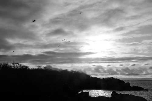 blackandwhite bw sun clouds sunrise skyscape landscape ecuador pacificocean northseymourisland bluefootedbooby galapagosislands frigatebirds gps309082011054102