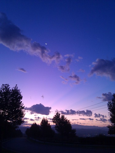 california trees moon valencia clouds sunrise one purple indigo saturday crescent rays nexus