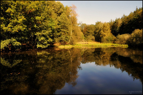 autumn trees nature water forest automne nikon herbst alsace paysage reflexion reflets eaux d90 étangs vosgesdunord foréts