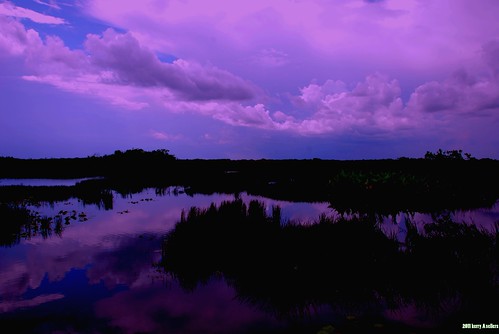 silhouette landscapes florida nightscapes waterscapes wildfloridastormcontest