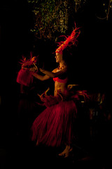 Mailani Dinner show Hula dancer from side Kauai