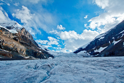 ice glacier columbiaicefield canadianrockies