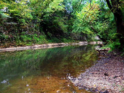 nature creek river kentucky creation redriver