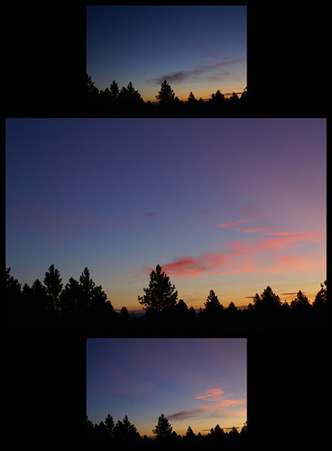 trees color clouds sunrise washington spokane incremental