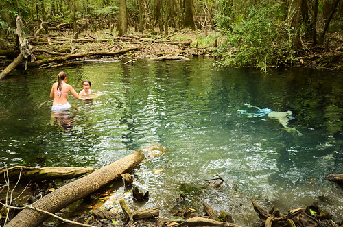 water spring woods florida springs swamp remote freshwater brunsonlandingspring