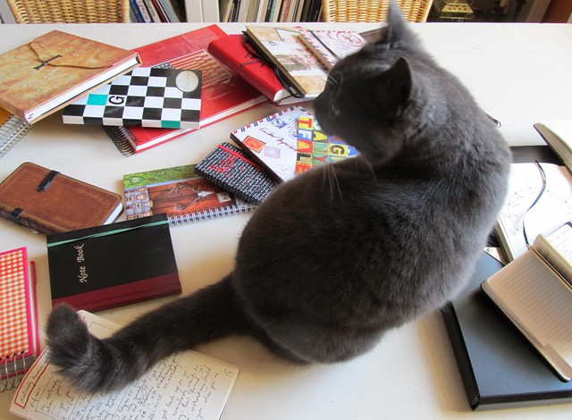 notebook-cat