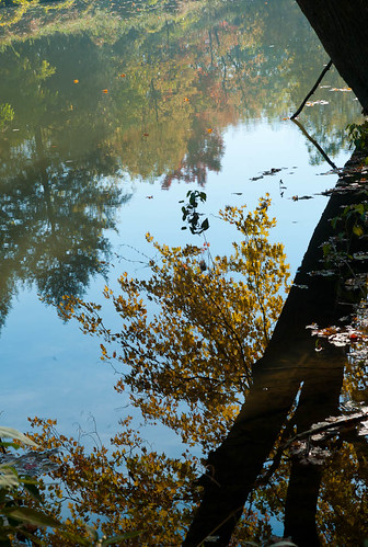 park autumn river season landscape carr michigan evergreen thumb cass sanilaccounty