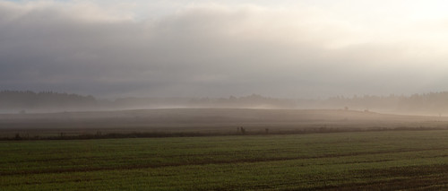 morning field fog sunrise countryside haze canonef2470mmf28lusm canoneos5dmarkii