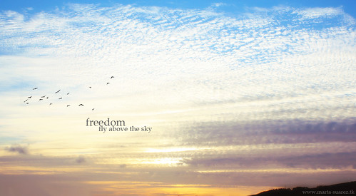 above sunset sky sun sol atardecer libertad freedom fly el cielo sobre volar celaje