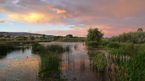 sunset reeds landscape utah pond wetlands birdsanctuary bouldermountainlodge