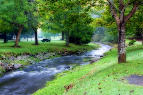 canada tree grass leaves river table victoriapark rocks picnic novascotia truro orton nspp