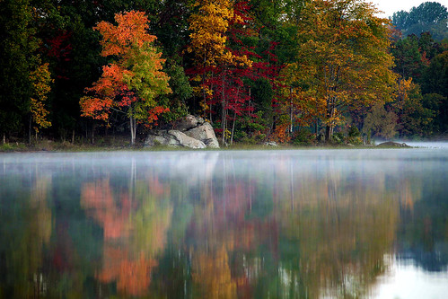morning autumn mist lake virginia