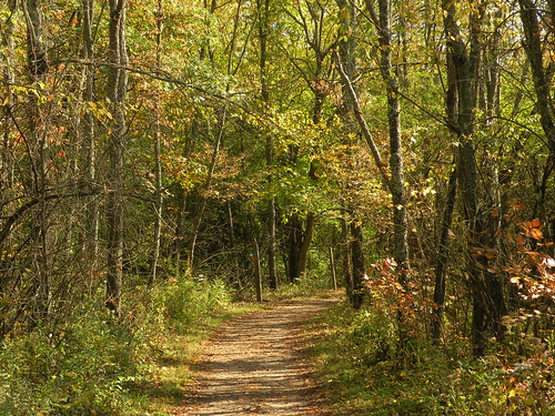 autumn ohio nature nikon trail sugarcreek bellbrook geotaggedohio sugarcreekmetropark nikoncoolpixp80 kkfrombb