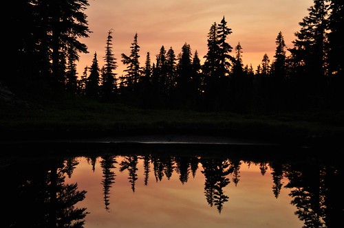 sunset silhouette oregon jeffersonpark mtjeffersonwilderness willamettenationalforest