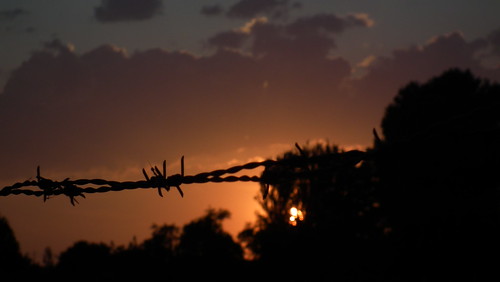 sunset sun atardecer wire barbed alambredeespino oseradeebro