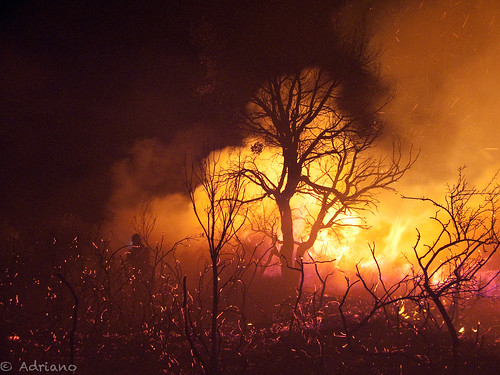 españa trabajo europa andalucia lugares malaga llamas ojen incendios incendiosforestales