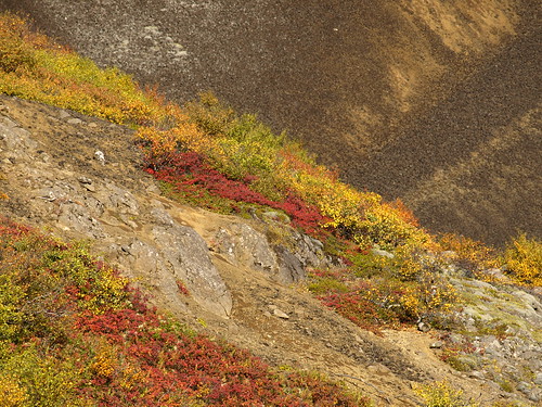 autumn abstract fall colors iceland colours haust borgarfjörður grábrók