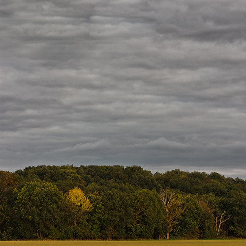 autumn canon landscape eos herbst 60mm landschaft efs 450d