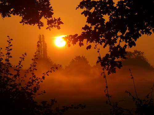 autumn trees orange mist sunrise leicesrershire