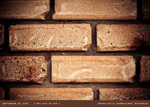wall bricks project365 september365