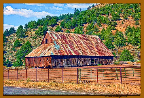 california old trees usa history skyline barn landscape decay scenic structure worn weathered layers postprocess enhanced hdr digitalphotography adobebridge dropshadow sierraville topazlabs canon50d highdynamicrangeimagery adobephotoshopcs5 ©brentoncooper
