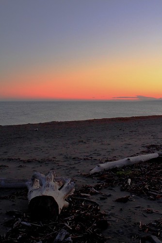 canada beach geotagged quebec driftwood matane gaspésie gaspé geo:lat=4885380848914759 geo:lon=6752761148294064