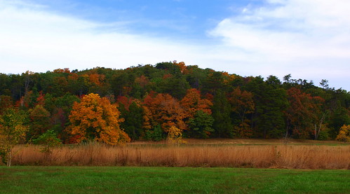 park autumn fall nature colors beauty forest woods kentucky clermont bernheim