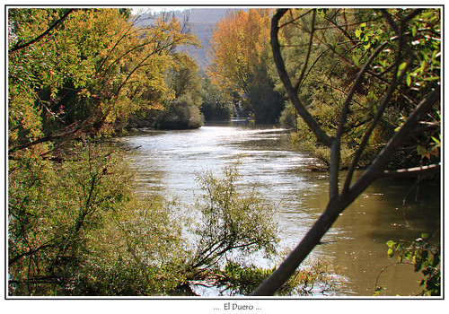 rio canon natura otoño duero castillayleon valbuenadeduero druida601