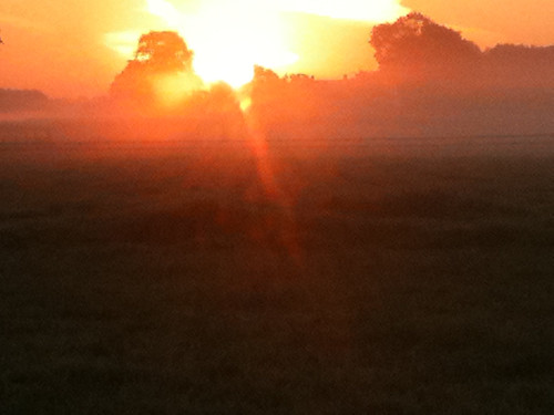 morning trees sky orange sunrise meadows sunburst meltdown sunbeam meltup