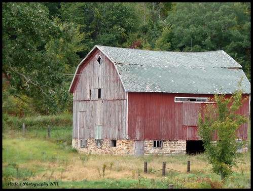 trees red brick green wisconsin rural landscape barns fences farms picnik dilapidated weatherworn