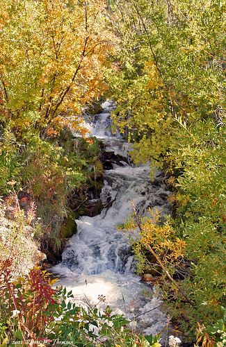 mountain fall creek waterfall montana stream autum rockymountains rockymountainfront