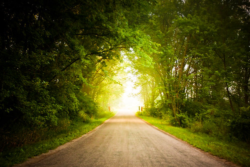 road trees light summer usa mist green nature leaves fog wisconsin brooklyn oregon rural landscape photography photo highway image pavement path picture august explore american covered lane northamerica rutland canopy canonef1740mmf4lusm countryroad paved stoughton 2011 canoneos5d flickrexplore danecounty lorenzemlicka