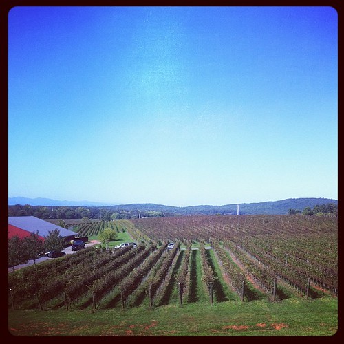 cameraphone virginia charlottesville iphone barboursvillevineyards instagram uploaded:by=instagram foursquare:venue=4abb8967f964a520f08320e3