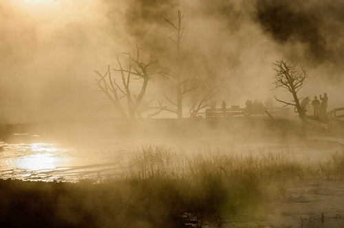 water pool silhouette fog terrace yellowstonenationalpark wy mammothhotsprings