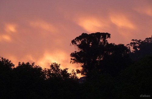 wood window clouds sunrise ventana lumix dawn autum amanecer bosque nubes otoño leicalens dalbao francodalbao