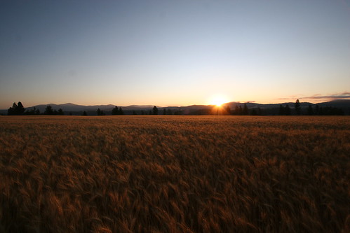 morning mountains field sunrise landscape washington canon20d wheat mead spokanecounty inlandnorthwest marilynhassler omadarlingphotography